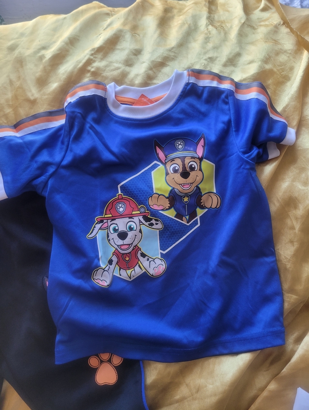 Paw Patrol Royal Blue Short Sleeve Tee with Chase & Marshall Pants Set 4T⁸